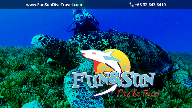 Fun & Sun Dive & Travel